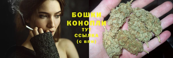 бошки Арсеньев