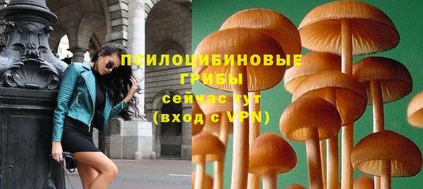 бошки Арсеньев