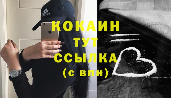 бошки Арсеньев